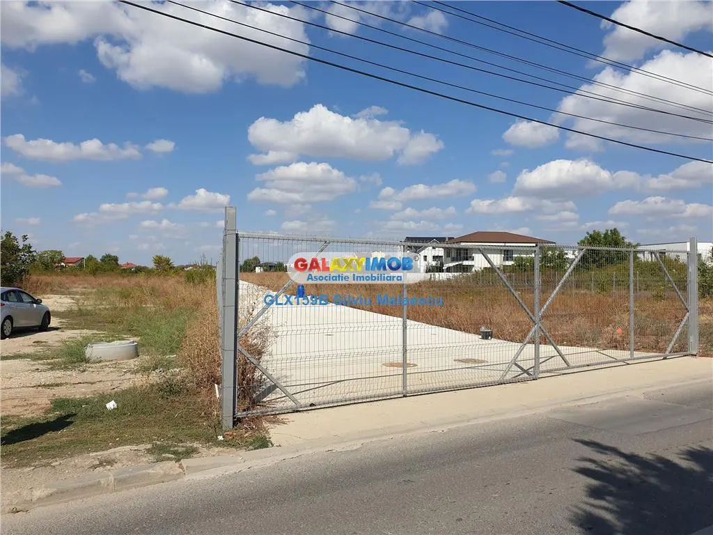 Otopeni 969 Mp - Lot 694 Mp+275 Mp(cota de drum si gradina) str. 1 Mai - foto 6