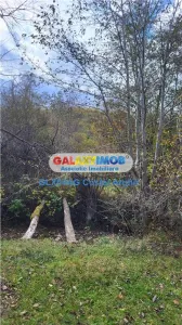 Vindem teren 20000 mp Cheile Rasnoavei - Brasov , pentru case vacanta - foto 11