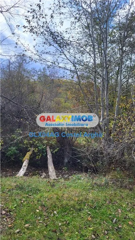 Vindem teren 20000 mp Cheile Rasnoavei - Brasov , pentru case vacanta - foto 11