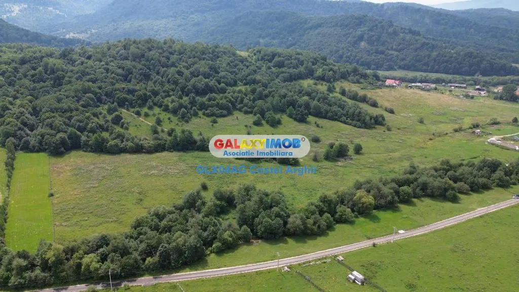 Vindem teren 20000 mp Cheile Rasnoavei - Brasov , pentru case vacanta - foto 3