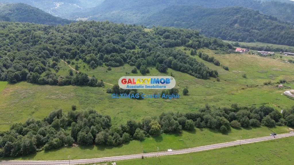 Vindem teren 20000 mp Cheile Rasnoavei - Brasov , pentru case vacanta - foto 7