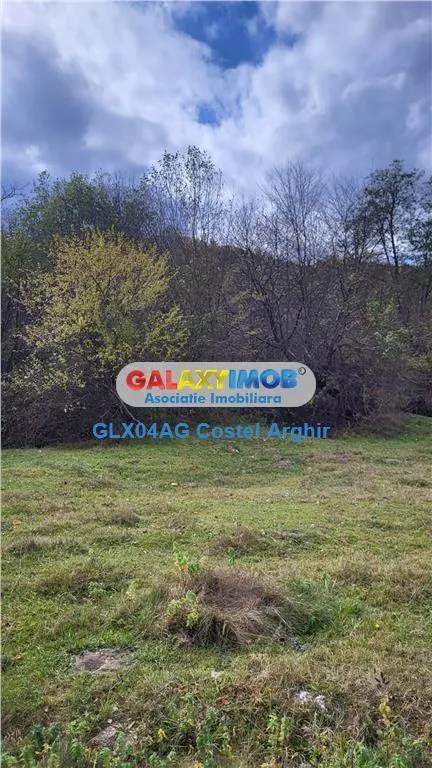 Vindem teren 20000 mp Cheile Rasnoavei - Brasov , pentru case vacanta - foto 9