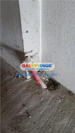 Casă 5 camere Bradulet - poza 13