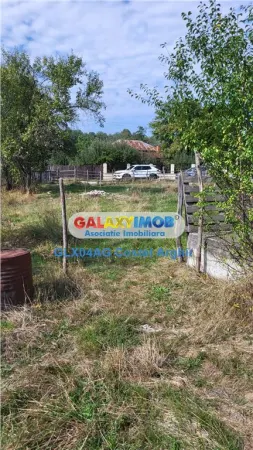 Casă 5 camere Bradulet - poza 16