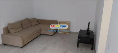Teiul Doamnei , Brasoveni , apartament 2 camere de inchiriat,parter - foto 2
