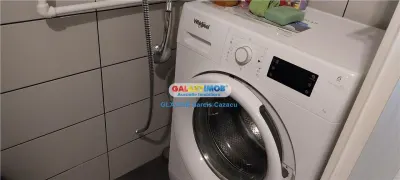 Teiul Doamnei , Brasoveni , apartament 2 camere de inchiriat,parter - foto 12