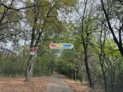 Vanzare teren 3300 mp Peris -deschidere padurea Scrovistea - foto 3