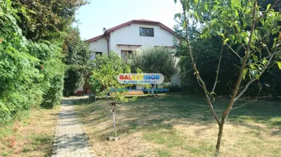 Vanzare Vila lux noua 2011, curte de 500mp, Mogosoaia, 600000 Euro - Mogosoaia