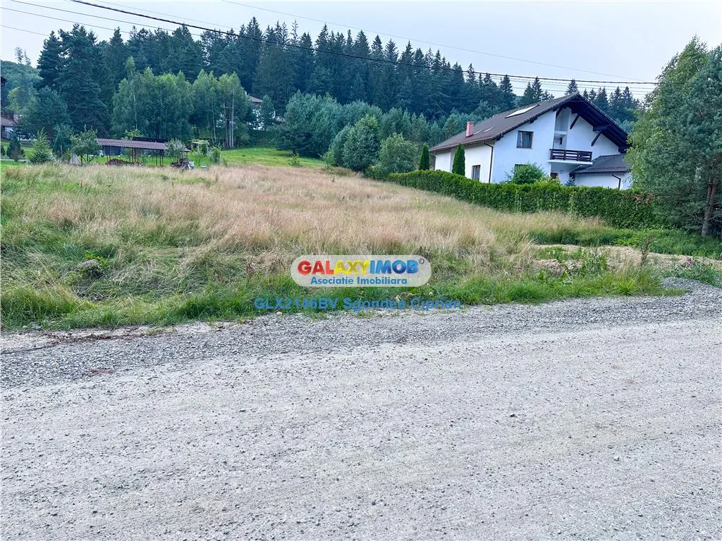 Teren Marginea Padurii Zarnesti cu toate utilitatile - foto 5