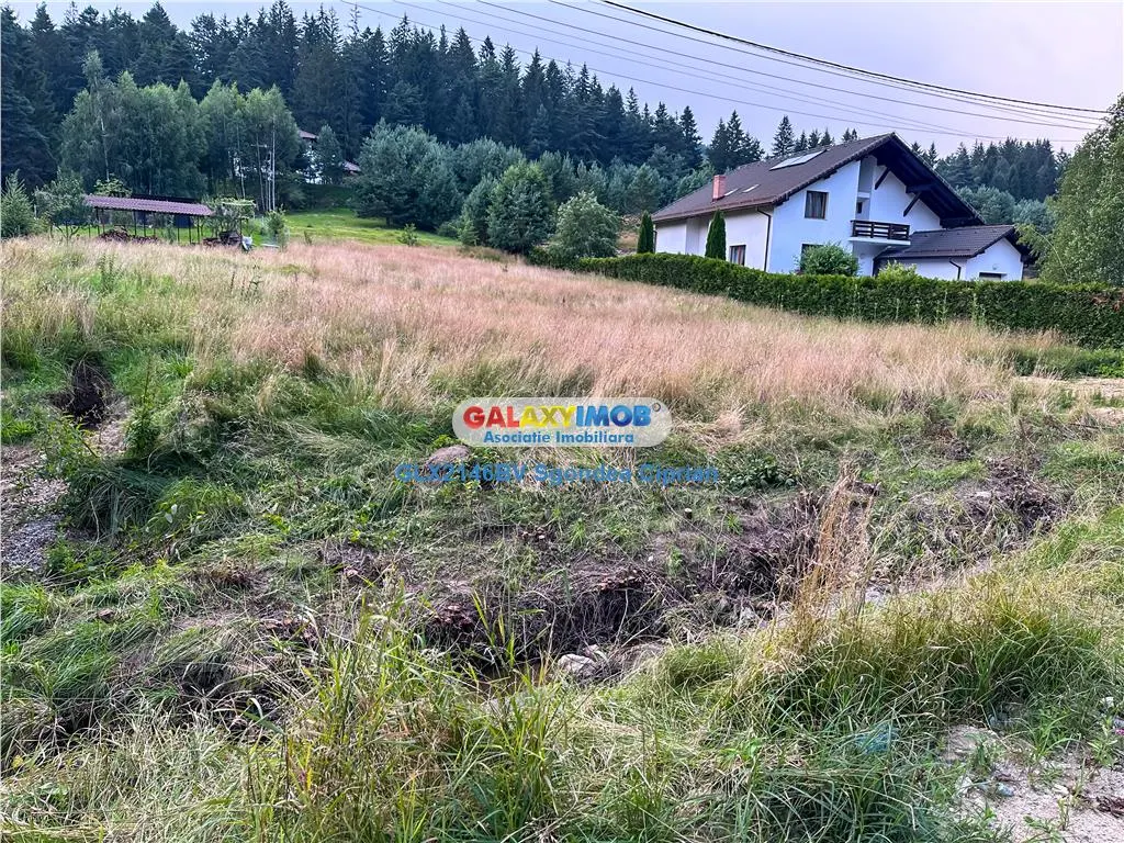 Teren Marginea Padurii Zarnesti cu toate utilitatile - foto 7