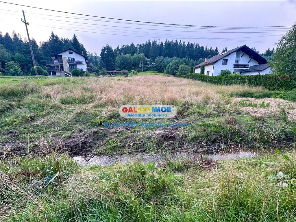 Teren Marginea Padurii Zarnesti cu toate utilitatile - foto 8