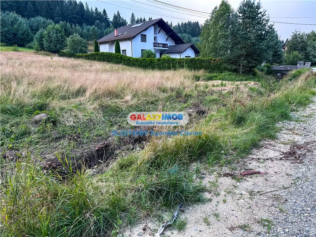 Teren Marginea Padurii Zarnesti cu toate utilitatile - foto 9
