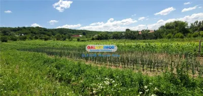 Teren intravilan comuna Bogati sat Birloi Jud. Arges - foto 3
