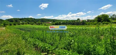 Teren intravilan comuna Bogati sat Birloi Jud. Arges - foto 7