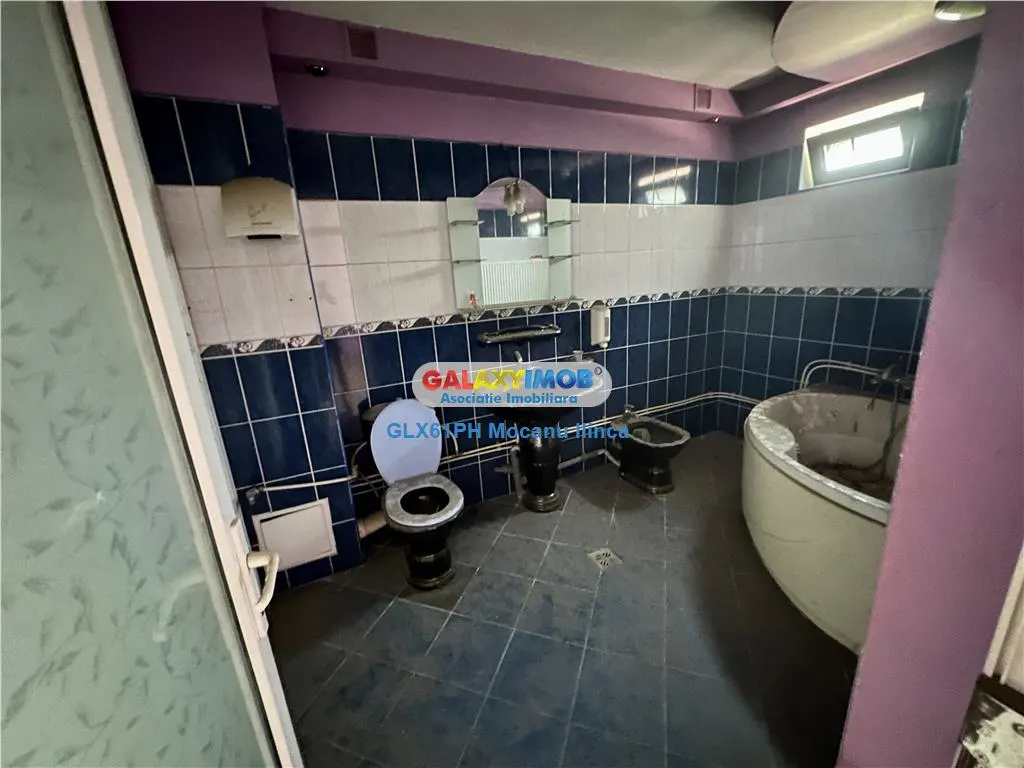 Vanzare casa P+M, Malu Rosu, Ploiesti - foto 7