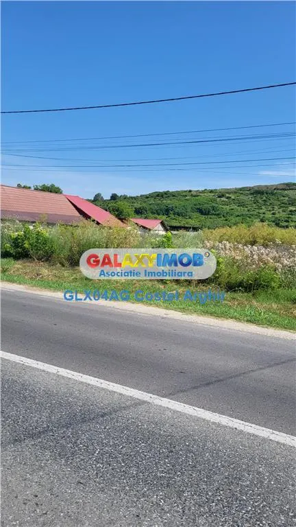 Vindem teren intra si extravilan Calinesti, 5,2 ha , deschidere DN 7 - foto 2