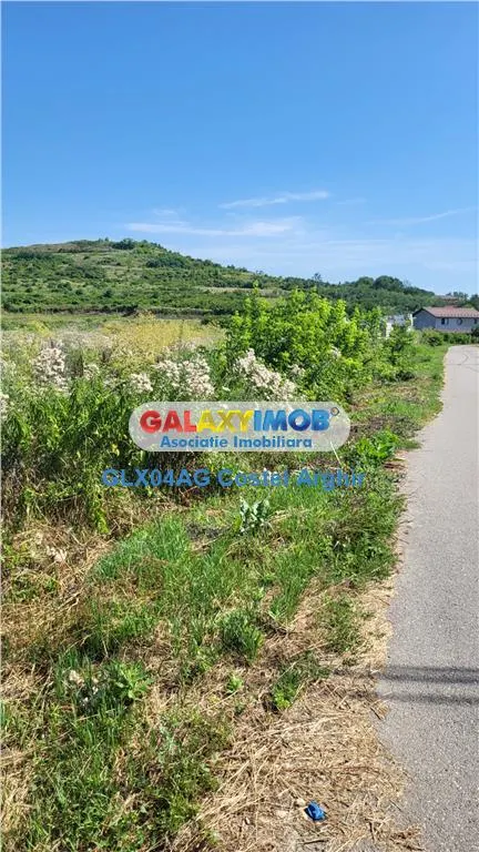 Vindem teren intra si extravilan Calinesti, 5,2 ha , deschidere DN 7 - foto 5