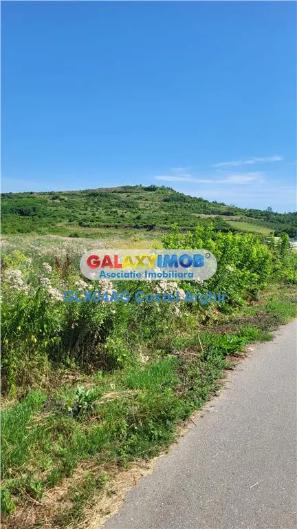 Vindem teren intra si extravilan Calinesti, 5,2 ha , deschidere DN 7 - foto 8