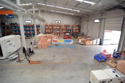 Vanzare Hala 1324+Teren 2600 mp Rudeni/Centura cu preluare chirias - foto 4