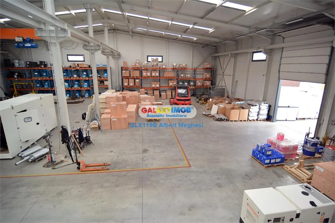 Vanzare Hala 1324+Teren 2600 mp Rudeni/Centura cu preluare chirias - foto 3