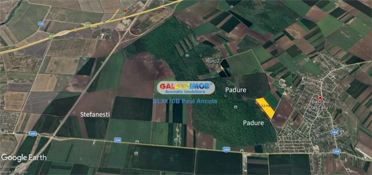 Teren Stefanesti Dascalu latura mare la Padure intravilan 35000 mp - foto 2