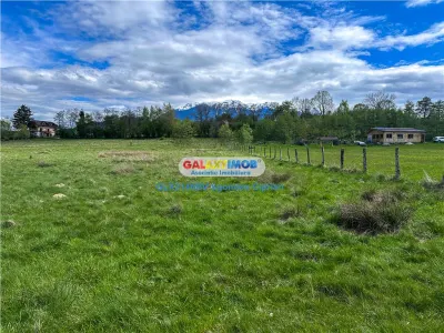 Teren Bran Zarnesti 3 km Castelul Bran 25 km Brasov - foto 4