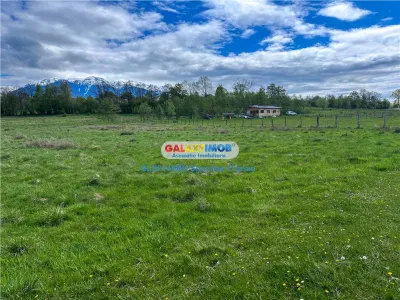 Teren Bran Zarnesti 3 km Castelul Bran 25 km Brasov - foto 5