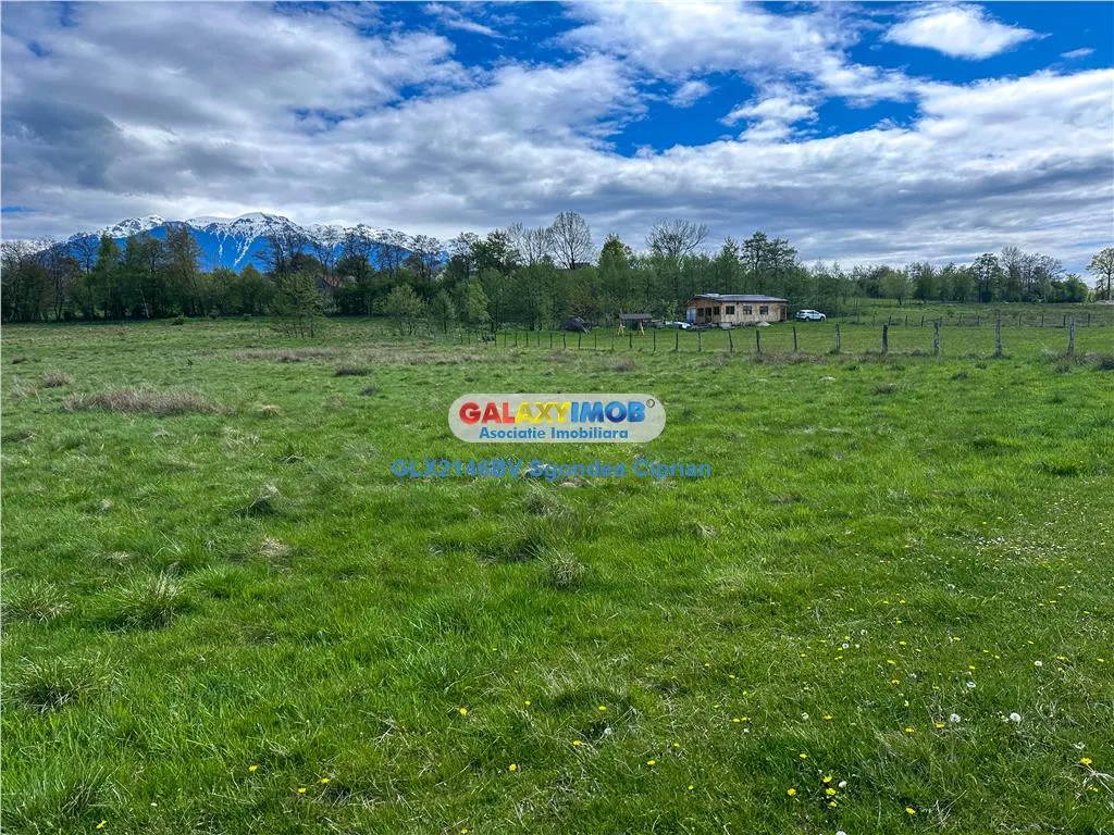 Teren Bran Zarnesti 3 km Castelul Bran 25 km Brasov - foto 5