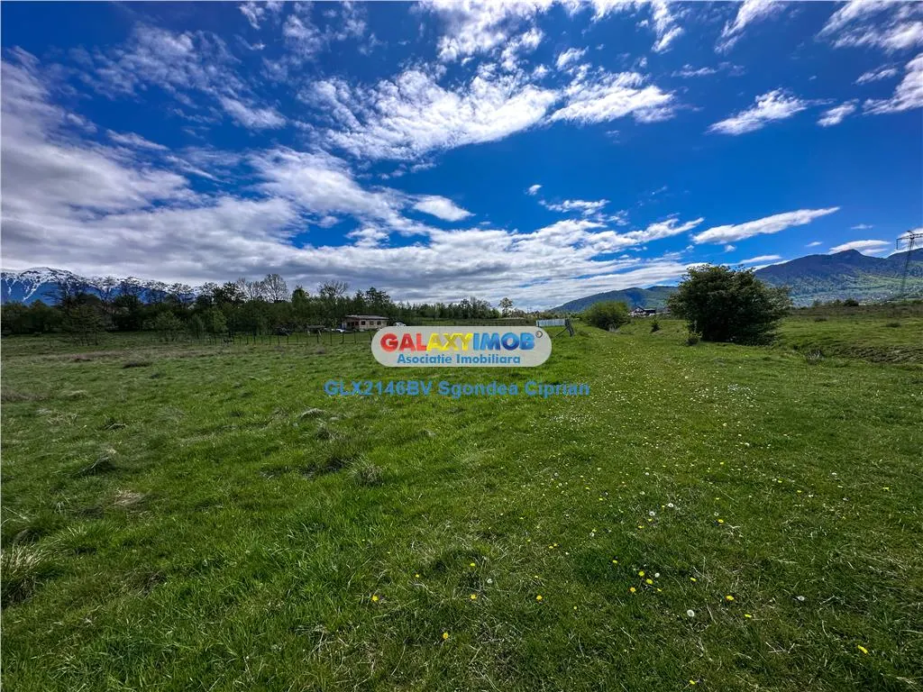 Teren Bran Zarnesti 3 km Castelul Bran 25 km Brasov - foto 6