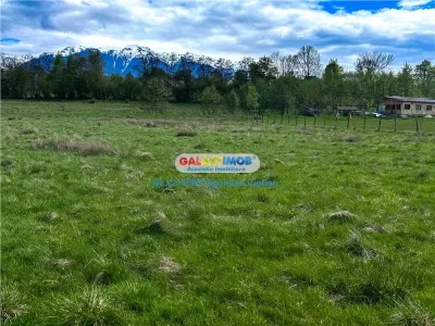 Teren Bran Zarnesti 3 km Castelul Bran 25 km Brasov - foto 7