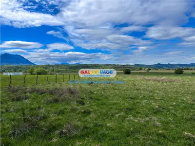 Teren Bran Zarnesti 3 km Castelul Bran 25 km Brasov - foto 8
