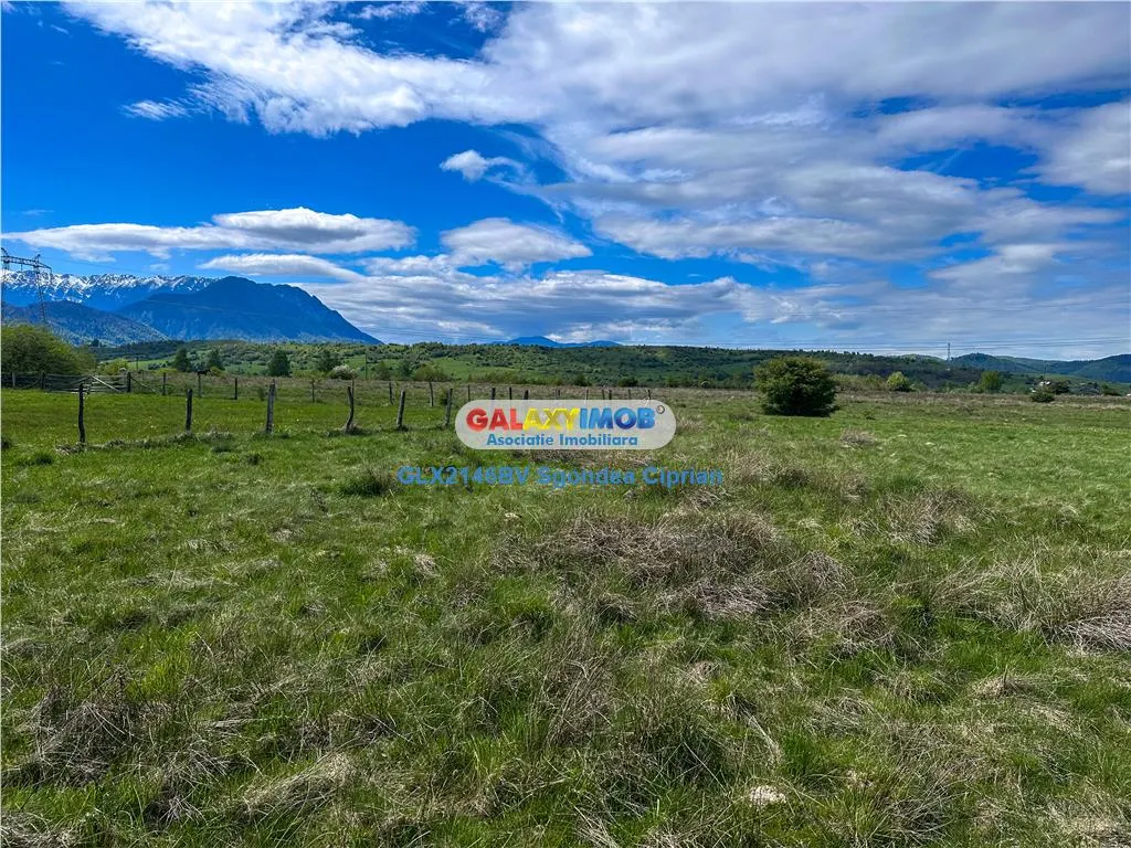 Teren Bran Zarnesti 3 km Castelul Bran 25 km Brasov - foto 10