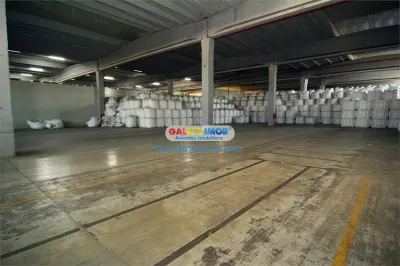 Inchiriere spatiu depozitare/productie 5000-11000 mp Danubiana - foto 3