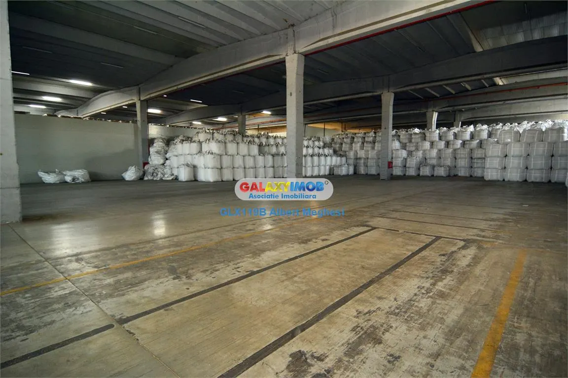Inchiriere spatiu depozitare/productie 5000-11000 mp Danubiana - foto 3