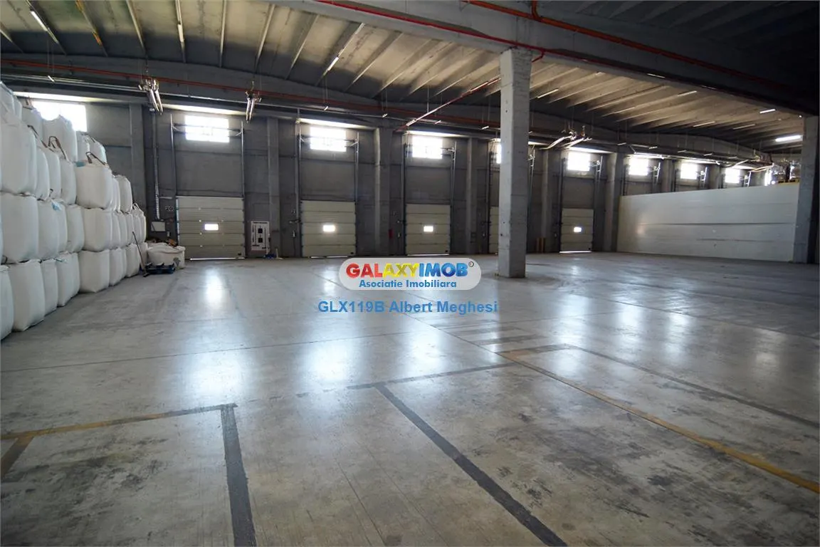 Inchiriere spatiu depozitare/productie 5000-11000 mp Danubiana - foto 4