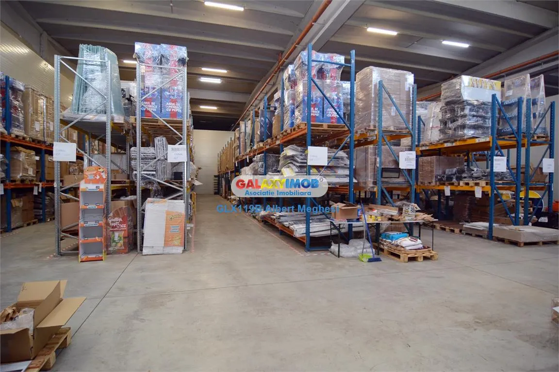 Inchiriere spatiu depozitare/productie 5000-11000 mp Danubiana - foto 5