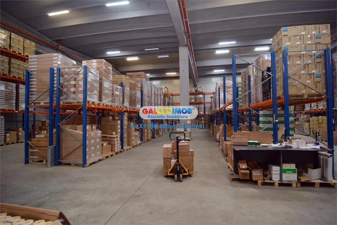 Inchiriere spatiu depozitare/productie 5000-11000 mp Danubiana - foto 7