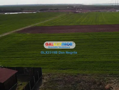 Branesti, intravilan ,3700mp - foto 2