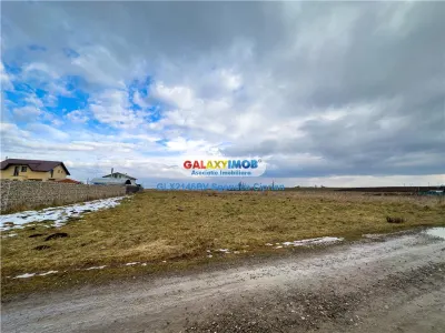 Teren Sanpetru 2 parcele ideale pentru investitie - foto 2