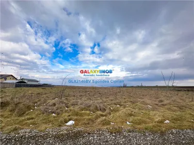 Teren Sanpetru 2 parcele ideale pentru investitie - foto 5