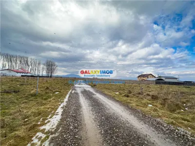 Teren Sanpetru 2 parcele ideale pentru investitie - foto 7
