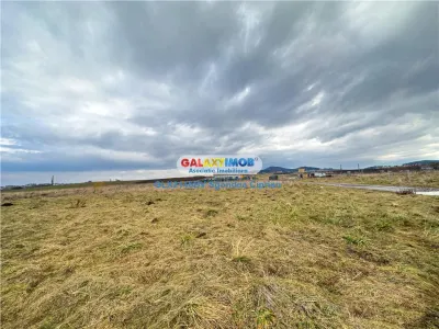 Teren Sanpetru 2 parcele ideale pentru investitie - foto 10