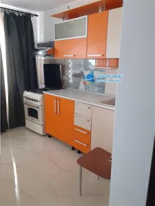 de inchiriat studio  cf 1 , parter   Targul din Vale (curte) - Pitesti