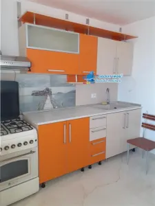 de inchiriat studio  cf 1 , parter   Targul din Vale (curte) - foto 3
