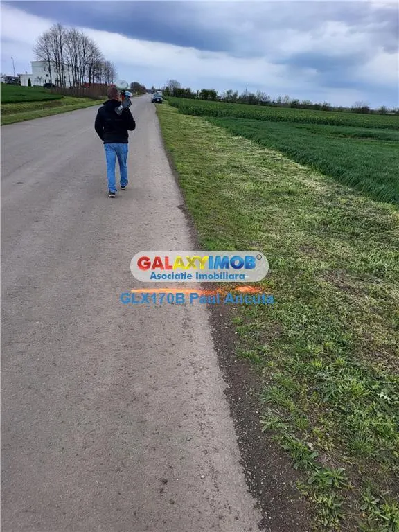 Teren Autostrada A3 Moara Vlasiei 26000 mp  Industrial Depozitare - foto 3