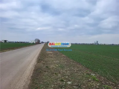 Teren Autostrada A3 Moara Vlasiei 26000 mp  Industrial Depozitare - foto 4