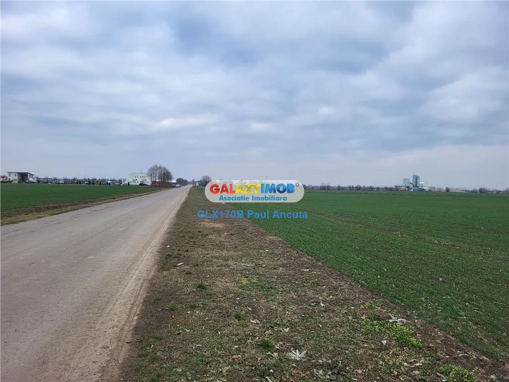 Teren Autostrada A3 Moara Vlasiei 26000 mp  Industrial Depozitare - foto 4