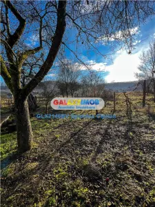 2 Case plus 12600 mp teren in localitatea Jibou din Salaj - foto 14