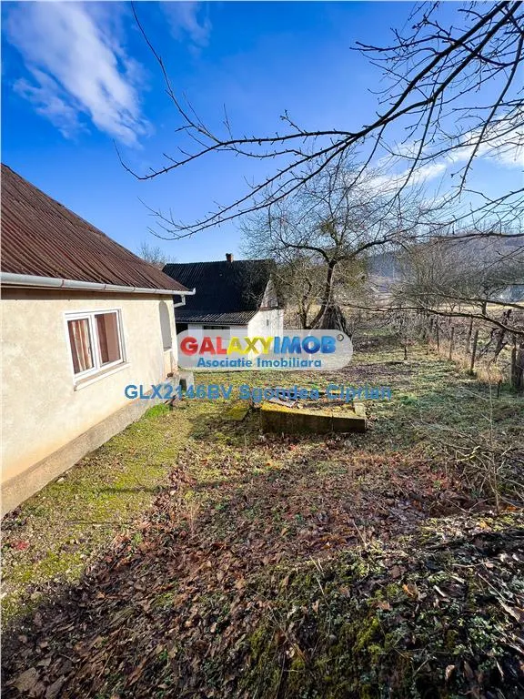 2 Case plus 12600 mp teren in localitatea Jibou din Salaj - foto 16