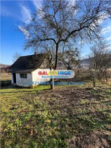 2 Case plus 12600 mp teren in localitatea Jibou din Salaj - foto 4